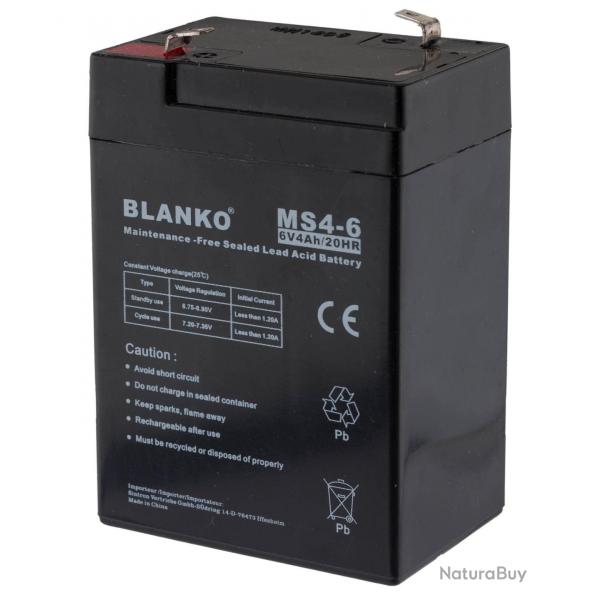 Batterie rechargeable MS4-6 6 volts