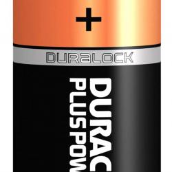 Piles alcalines D LR20 1,5 volt - Duracell