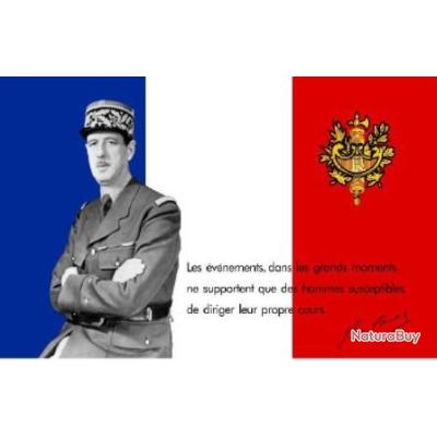 Drapeau CHARLES DE GAULLE/FRANCE LIBRE - Drapeaux et Fanions (8083190)