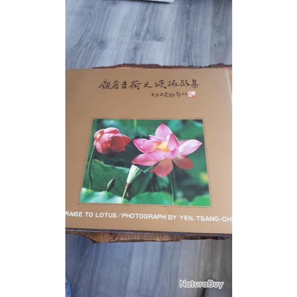 Illustration fleur de lotus. Livre tranger japonais ou chinois