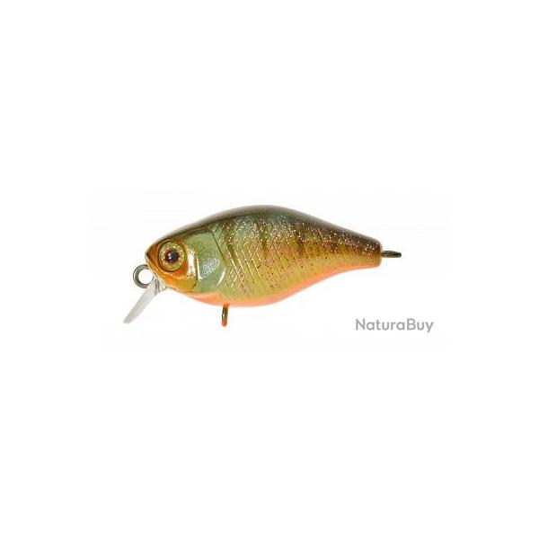 CHUBBY 38 FLOTTANT ILLEX Agressive perch