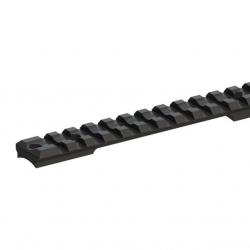 Rail long type Picatinny acier