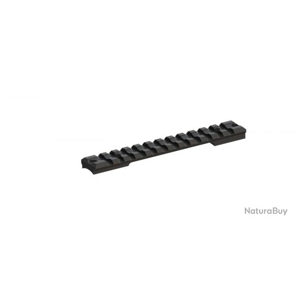 Rail long type Picatinny acier