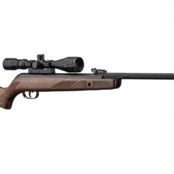 Carabine Gamo Hunter 440 AS + lunette 3-9X40 wr (20 joules)