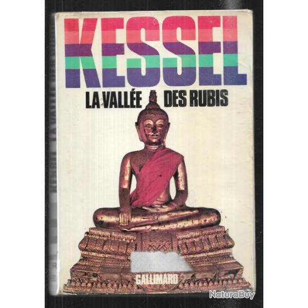 la valle des rubis de joseph Kessel . birmanie