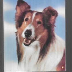 lassie:a dog's life , the first fifty years d'ace collins , colley , lassie chien fidèle