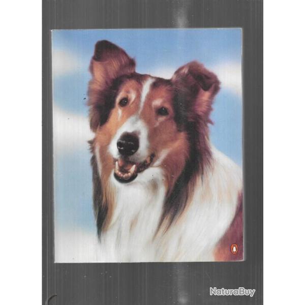 lassie:a dog's life , the first fifty years d'ace collins , colley , lassie chien fidle
