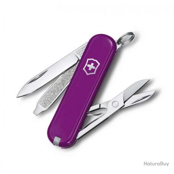 Couteau suisse Classic SD, Couleur violet [Victorinox]