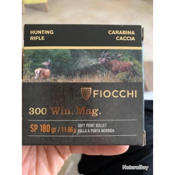 Munitions 300 winc Mag Fiocchi