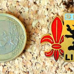 Pin's POLICE - SRPJ Service Régional Police Judiciaire LILLE Lion des Flandres Fleur de lys - EMAIL