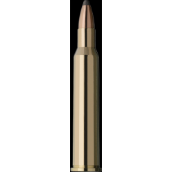 Boite de munitions RWS 5,6x50 R Mag. TMS 3,2g