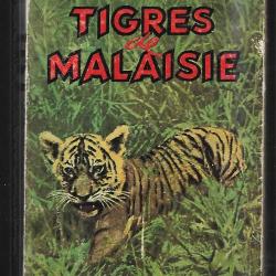 Tigres de Malaisie du lieutenant colonel a.locke études et chasses