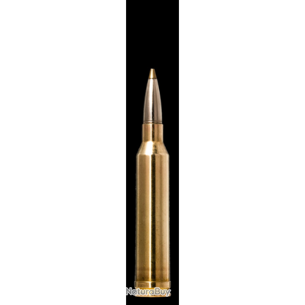 Boite de munitions Norma EVOSTRIKE 7 mm Remington Magnum 8.2g