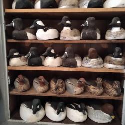 Grosse collection 26 appelants canards  bois Raymond Berthiaume