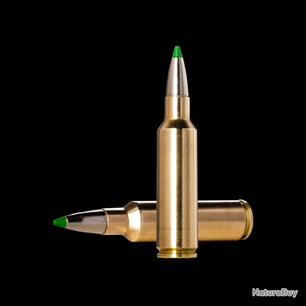 Boite de munitions Norma ECOSTRIKE .300 Winchester Short Magnum 10,7g