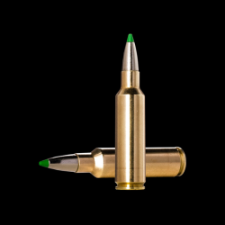 Lot de 2 boites de munitions Norma ECOSTRIKE .300 Winchester Short Magnum 10,7g
