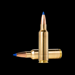Lot de 2 boites de munitions Norma Bondstrike Extreme .300 Winchester Short Magnum 11.7g