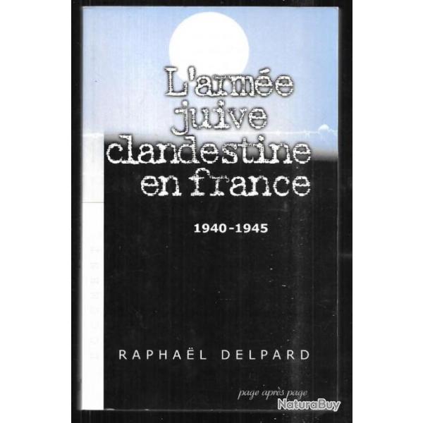 l'arme juive clandestine en france 1940-1945 de raphael delpard