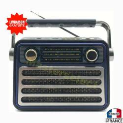 Poste radio avec FM AM Bluetooth lecteur Usb et micro SD style rétro vintage bleu