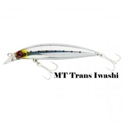 Shoreline 8 Cm 11.8 G Coulant Shiner Z Vertice 80S Daiwa MT Trans Iwashi