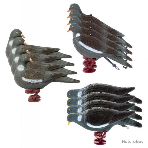 Pack 12 pigeons ramiers actifs avec pattes