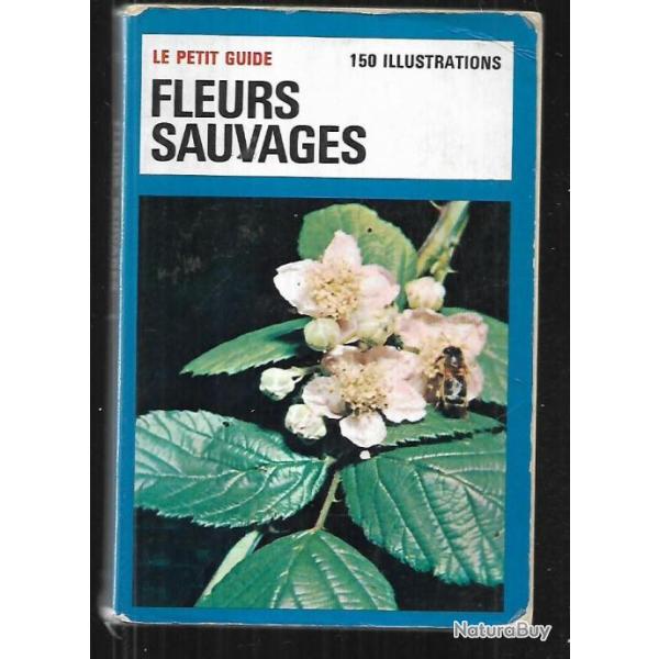 fleurs sauvage le petit guide  Hachette