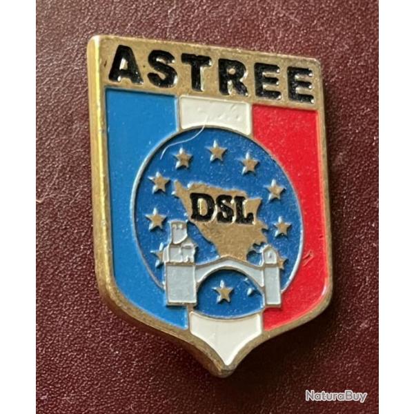 Insigne Bosnie - ASTREE - detachment de Soutien Logistique mandat 6