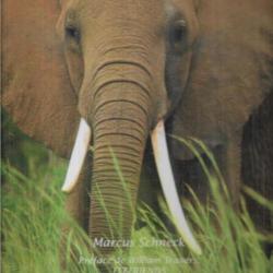 éléphants paisibles géants d'afrique et d'asie de marcus schneck