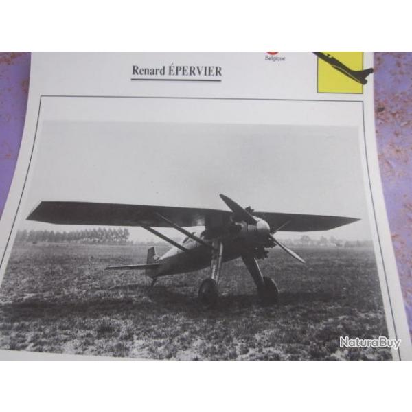 AVION  TYPE   CHASSEUR  RENARD EPERVIER