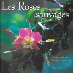 les roses sauvages de christian catoire et éléonore cruse