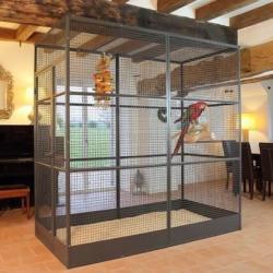 Volière panoramique 2x1x2m volière gris du gabon cage perroquet amazon avis cielterre-commerce
