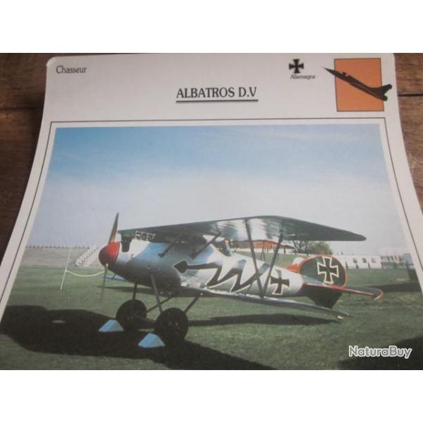 FICHE  AVIATION  TYPE  CHASSEUR   /   ALBATROS  D V      ALLEMAGNE