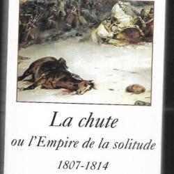 la chute ou l'empire de la solitude 1807-1814 de dominique de villepin , premier empire