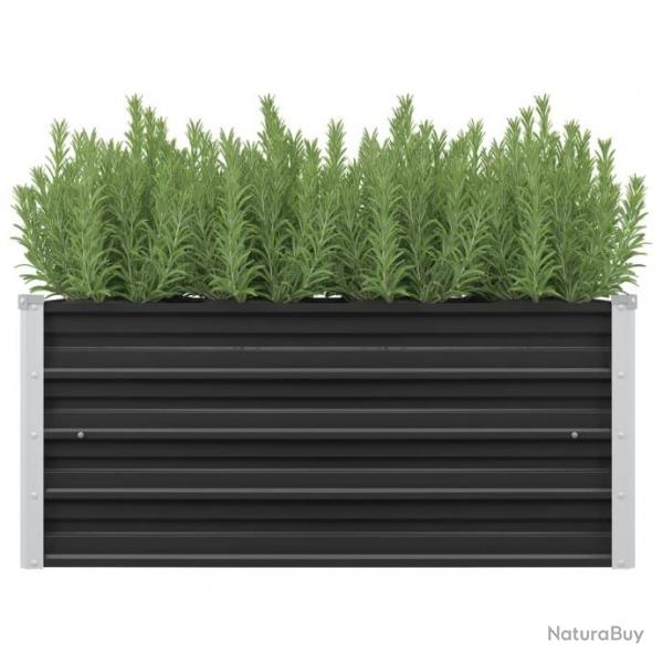 Lit surlev de jardin Anthracite 100x40x45 cm Acier galvanis 45733