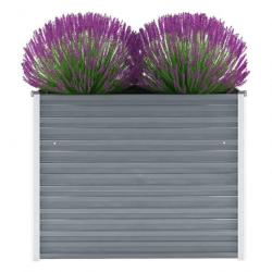 Lit surélevé de jardin Acier galvanisé 100x40x77 cm Gris 44852