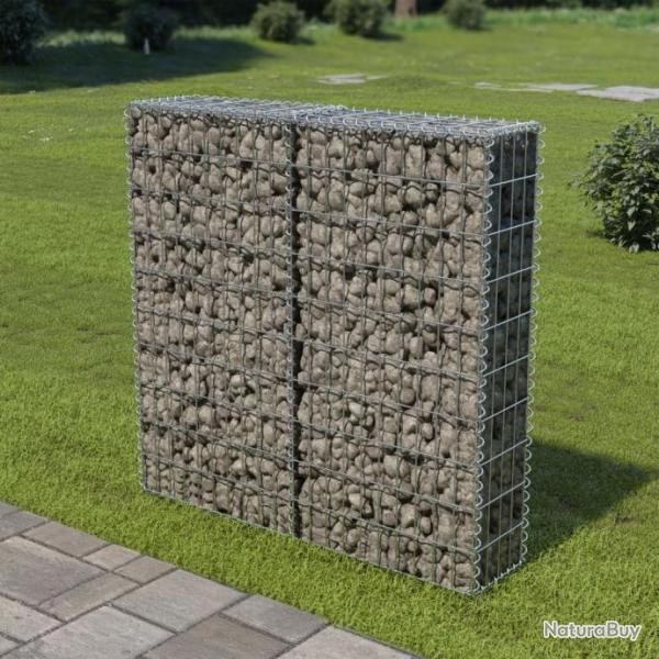 Mur  gabion avec couvercles Acier galvanis 100x20x100 cm 143578