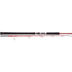 canne Tenryu exo jig spin 50-60 lb