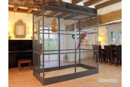 Acheter Cage à oiseaux pour perroquet, Cage d'extérieur en
