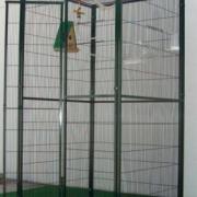 Volière panoramique 2x2x2 m toit maille cage perroquet volière exterieure  ara cielterre-commerce