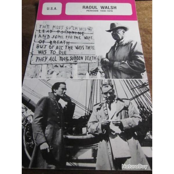 fiche cinema  raoul  walsh   usa