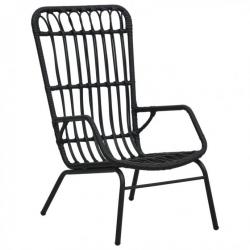 Chaise de jardin Résine tressée Noir 48581