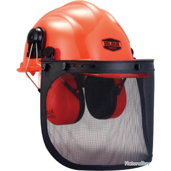 Casque forestier complet
