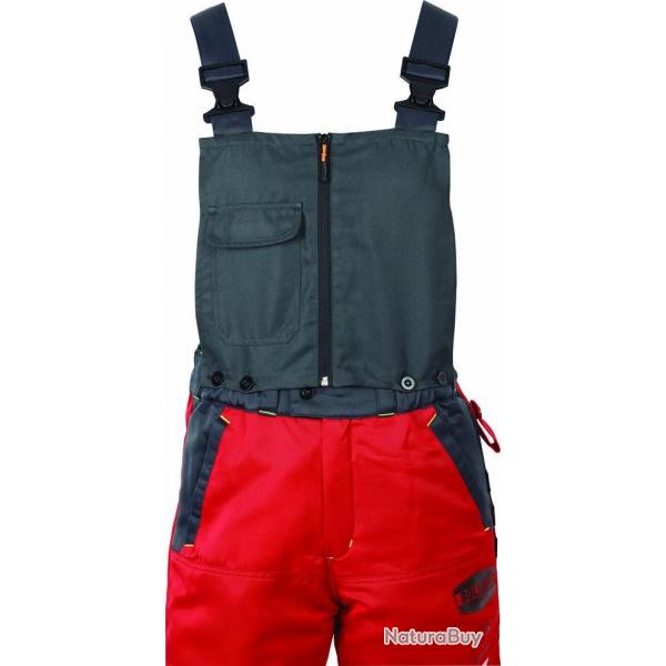 Plastron