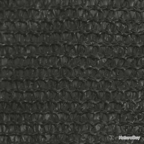 Voile d'ombrage 160 g/m Anthracite 5x5x6 m PEHD 311100