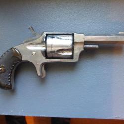 Rare revolver américain "MONTAIN EAGLE"