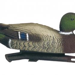 Appelant colvert mâle