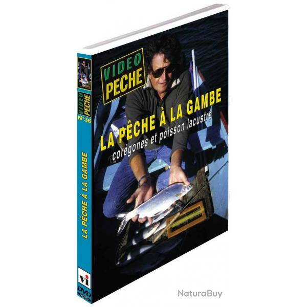 La pche  la gambe corgones et poisson lacustre - Pche des carnassiers - Vido Pche