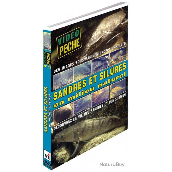 Sandres et silures en milieu naturel Dcouvrez la vie des sandres et des silures - Pche des carnass