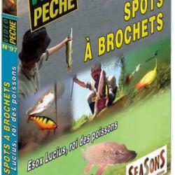 Spots à brochets Esox Lucius, roi des poissons - Pêche des carnassiers - Vidéo Pêche