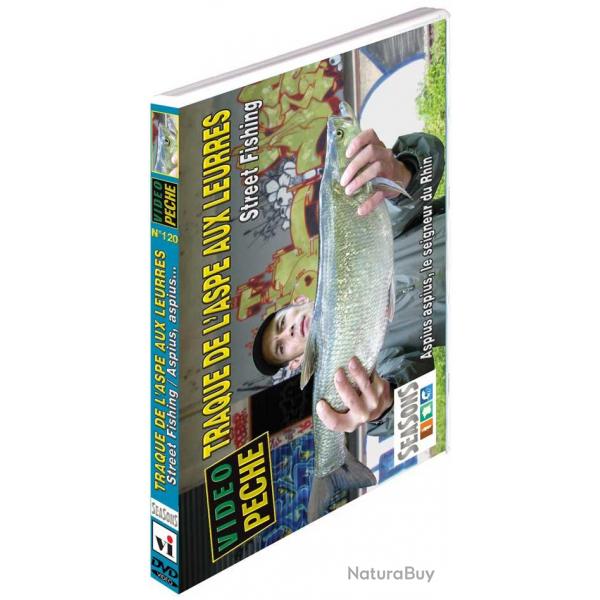 Traques de l'aspe aux leurres : Street fishing Aspius, aspius le seingeur du Rhin - Pche des carnas